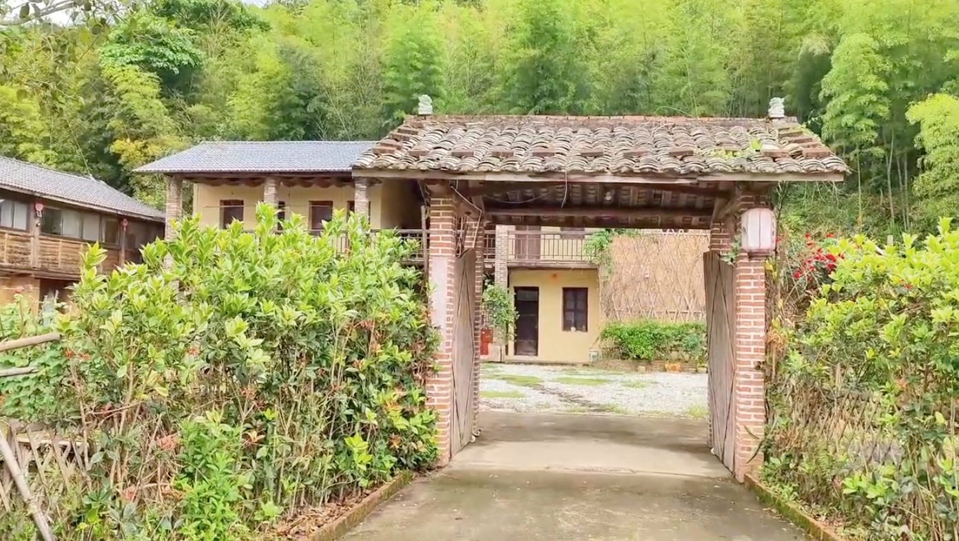 加载视频：YouTube视频内容展示